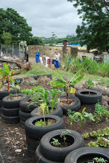cato manor/ Guerrilla Gardening