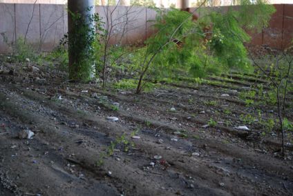 A New Park in Mafikeng