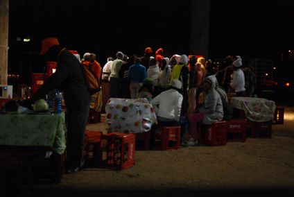 A New Food Market in Mafikeng