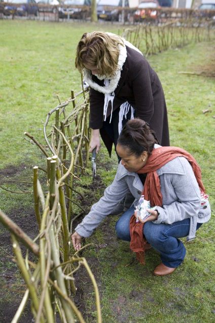 Lente presentatie 19 maart